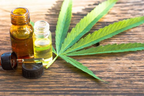 Important Things You Should Learn About CBD Oil
