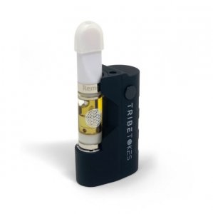 CBD Oil Vape Pen Starter Kit | Mini Battery + Full Gram Cartridge (Bundle – Save $25)